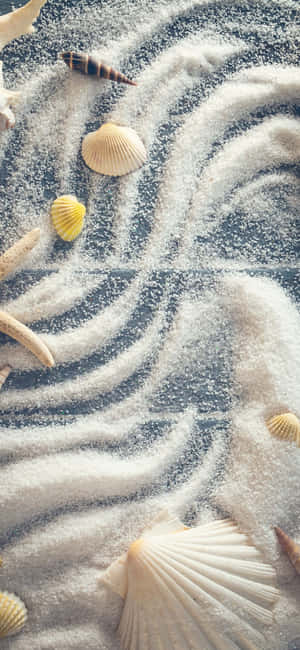 Fondo de verano Iphone X — Motorola Edge (2026) Fondos de pantalla