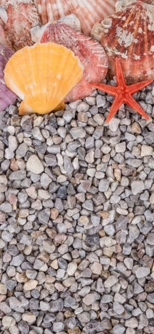 Fondo de verano para iPhone X — Realme 14T Fondos de pantalla