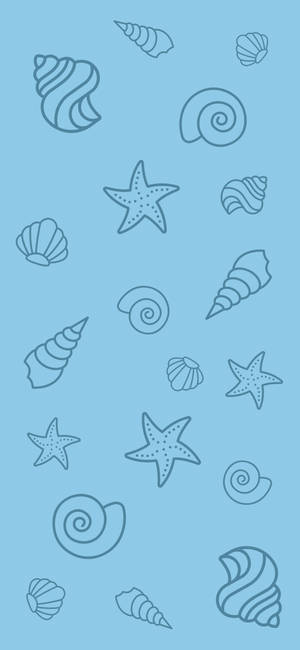 Conchas Marinas Azules Estéticas Simples — iPhone 15 Fondos de pantalla