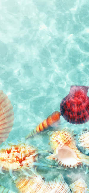 Fondo de Verano iPhone X — iPhone 15 Plus Fondos de pantalla