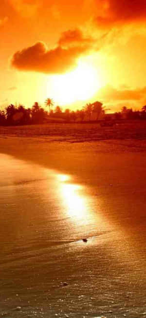 Fondo de Malibu para iPhone Xs — iPhone 13 Pro Max Fondos de pantalla