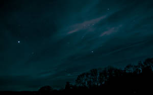 Silueta de árboles y cielo estrellado nocturno fondo de pantalla