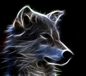 Fondo de pantalla de Lobo Galáctico — Galaxia lobo Fondos de pantalla
