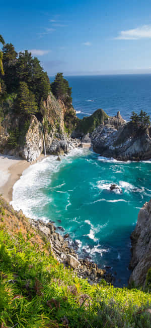 Fondo de California iPhone X — Verano Fondos de pantalla