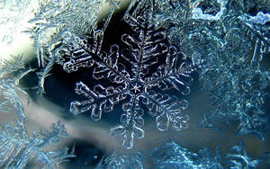 Fondo de pantalla de Copo de Nieve de Cristal de Hielo
