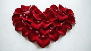 Papel tapiz de lujo de un corazón formado por pétalos de rosa rojos. — Te Amo Fondos de pantalla
