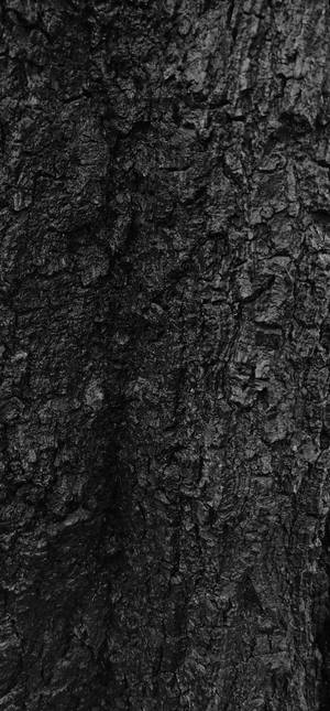 Fondo de Pantalla de Corteza de Árbol Texturizada en Negro — 1320x2868 Fondos de pantalla