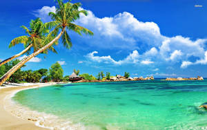 Costa de la Tropical Montego Bay