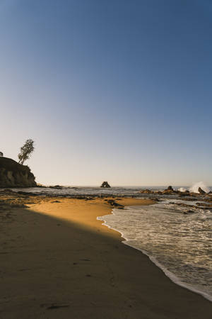 Fondo de pantalla de costa de playa con iluminación dorada.