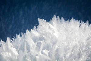 Fondo de pantalla de cristales fríos de invierno — Frío Fondos de pantalla