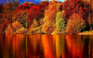 Fondo de otoño de árboles rojos y naranjas reflejados en un gran lago.