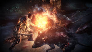 Dark Souls III Ratas Gigantes — Dark Souls 3 Fondos de pantalla