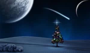 Fondo de árbol de Navidad — Árbol de Navidad Fondos de pantalla