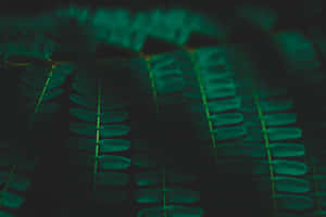 Imágenes de estética verde oscuro — MacBook Air 13 Fondos de pantalla