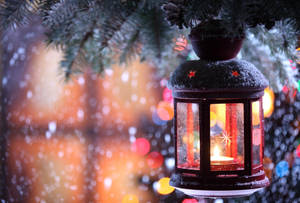 Fondo de pantalla de decoración de farol navideño frío — Frío Fondos de pantalla