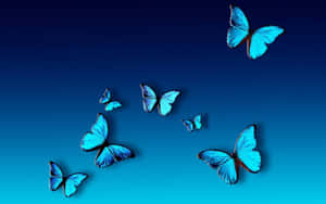 Imágenes estéticas de mariposas — Mariposa aesthetic Fondos de pantalla