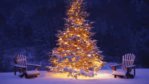 Hermosas imágenes de Navidad — Hermosa Navidad Fondos de pantalla