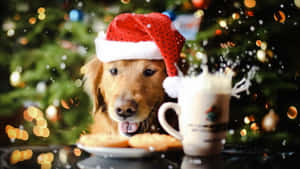 Lindas imágenes navideñas estéticas — Navidad linda Fondos de pantalla