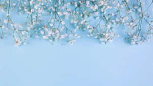 Deja que tu día se llene de positividad y belleza. — Azul lindo Fondos de pantalla