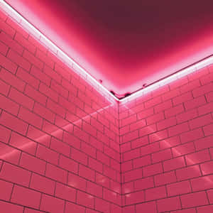 Imágenes de estética rosa neón — Rosa claro estético Fondos de pantalla