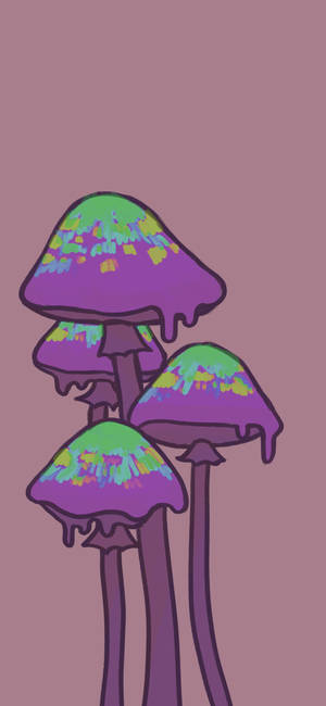 Trippy Estético