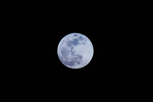 Luna llena brillando intensamente en el cielo nocturno de medianoche. Cráteres lunares visibles en la superficie.