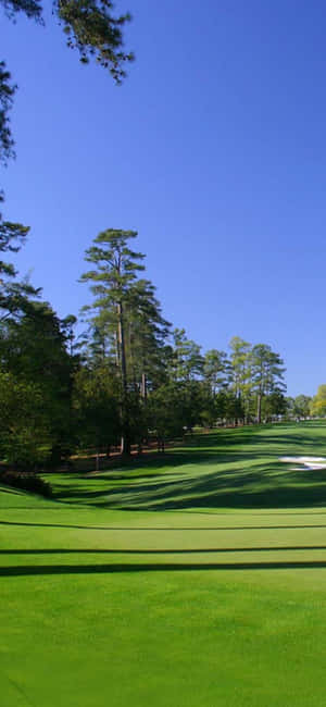 Fondo de campo de golf Iphone X — Oppo Find X Fondos de pantalla