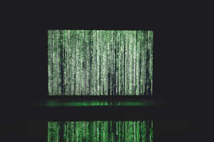 Imágenes estéticas verde oscuro — MacBook Pro 14 Fondos de pantalla