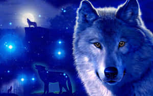 Fondo de Galaxy Wolf — Galaxia lobo Fondos de pantalla