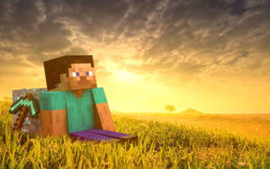 Fondo de pantalla Minecraft Steve en campo de hierba HD