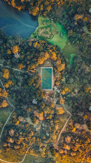 Fondo de pantalla móvil de vista aérea de campo de fútbol.