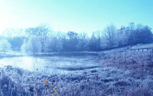 Fondo de pantalla de día frío de invierno — Frío Fondos de pantalla