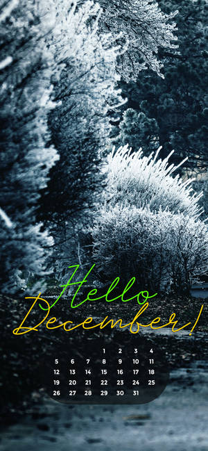 Fondo de pantalla Diciembre 2021 Blanca Navidad — iPhone 17 Fondos de pantalla