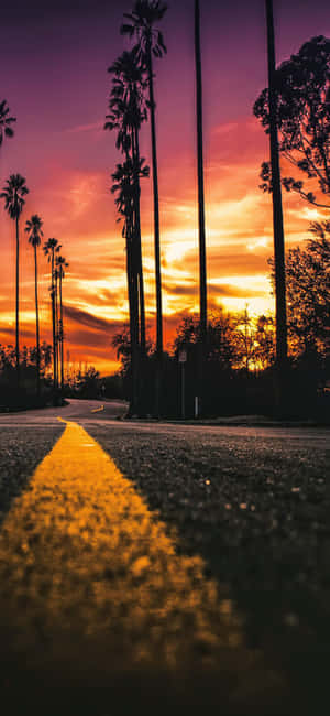 Fondo de California iPhone X — Realme P4 Fondos de pantalla