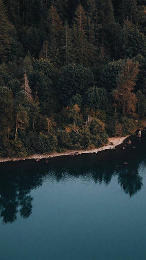 Fondo de pantalla iPhone XR de vista aérea de lago junto a un bosque frondoso — iPhone Xr Fondos de pantalla