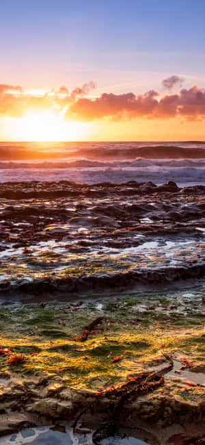 Fondo de California iPhone X — Realme P4 Fondos de pantalla