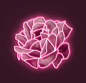 Imágenes estéticas de rosa neón — Rosa claro estético Fondos de pantalla