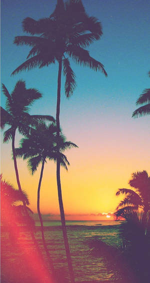 Atardecer en una playa tropical fondo de pantalla iPhone