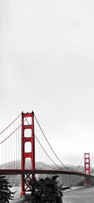 Fondo de White Iphone — Infinix GT Fondos de pantalla