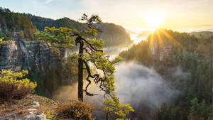 Fotografía de naturaleza con amanecer en fondo de pantalla 4K.