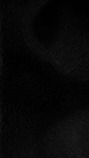 Disfruta del nuevo iPhone 8 Plus. — iPhone 8 Plus Fondos de pantalla