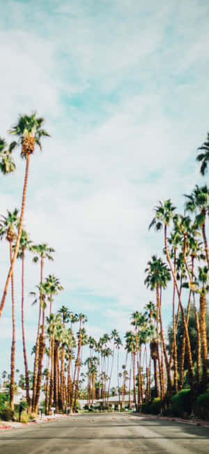 Fondo de iPhone Xs California — OnePlus 15T Fondos de pantalla