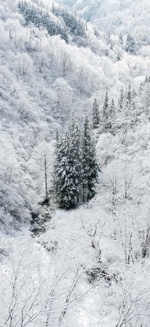 Snow Iphone — iPhone 18 Pro Fondos de pantalla