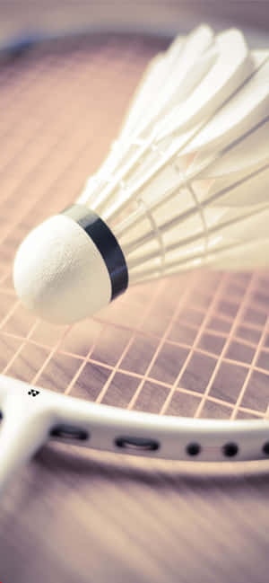 Fondo de Bádminton para iPhone XS Max — Nubia Focus 2 Fondos de pantalla