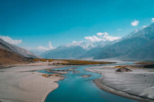 Hermoso fondo de naturaleza