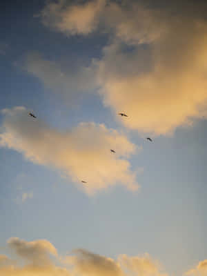 Imágenes de Cielo Estético — Cielo estético Fondos de pantalla