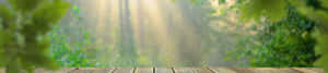 Fondo de naturaleza 4K — Naturaleza 4K Fondos de pantalla
