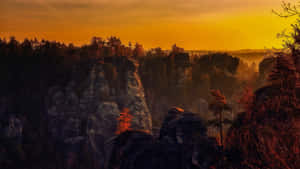Hermoso fondo natural