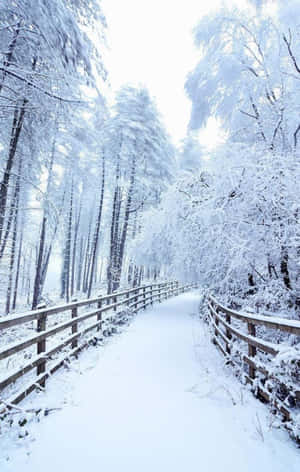 Snow Iphone — Galaxy Tab A9+ Fondos de pantalla