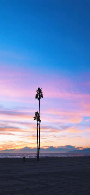 Fondo de California iPhone X — Nothing Phone (3a) Fondos de pantalla